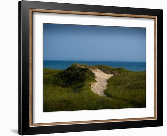 Sandy Path on Martha's Vineyard Beach.-James Shive-Framed Photographic Print