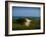 Sandy Path on Martha's Vineyard Beach.-James Shive-Framed Photographic Print