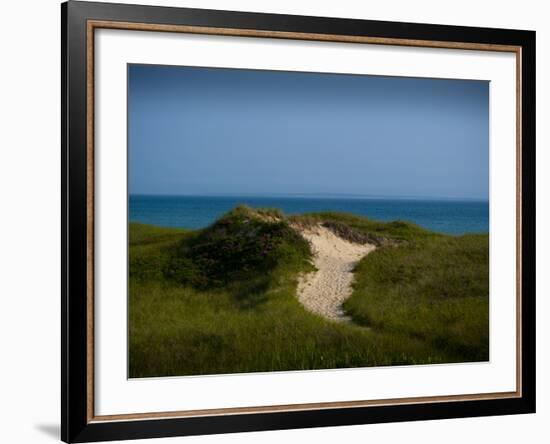 Sandy Path on Martha's Vineyard Beach.-James Shive-Framed Photographic Print