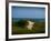 Sandy Path on Martha's Vineyard Beach.-James Shive-Framed Photographic Print