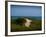 Sandy Path on Martha's Vineyard Beach.-James Shive-Framed Photographic Print