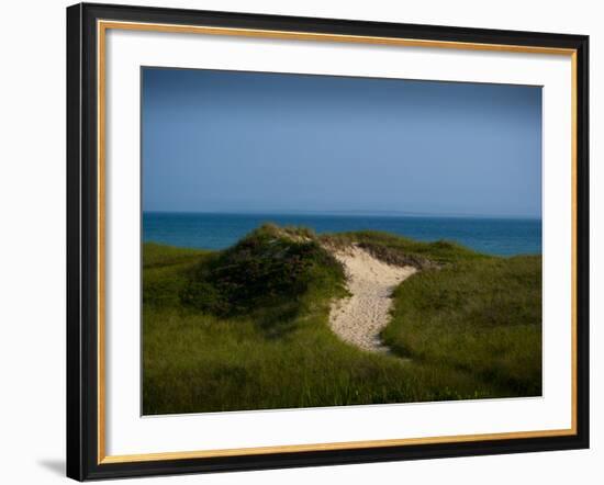 Sandy Path on Martha's Vineyard Beach.-James Shive-Framed Photographic Print