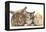 Sandy Rabbit, Tabby Tortoiseshell Maine Coon-Cross Kitten, 7 Weeks, and Yellow Guinea Pig-Mark Taylor-Framed Premier Image Canvas