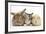 Sandy Rabbit, Tabby Tortoiseshell Maine Coon-Cross Kitten, 7 Weeks, and Yellow Guinea Pig-Mark Taylor-Framed Photographic Print