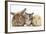 Sandy Rabbit, Tabby Tortoiseshell Maine Coon-Cross Kitten, 7 Weeks, and Yellow Guinea Pig-Mark Taylor-Framed Photographic Print