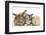 Sandy Rabbit, Tabby Tortoiseshell Maine Coon-Cross Kitten, 7 Weeks, and Yellow Guinea Pig-Mark Taylor-Framed Photographic Print