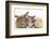 Sandy Rabbit, Tabby Tortoiseshell Maine Coon-Cross Kitten, 7 Weeks, and Yellow Guinea Pig-Mark Taylor-Framed Photographic Print