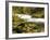 Sandy River in Autumn, Welches, Oregon, USA-Michel Hersen-Framed Photographic Print