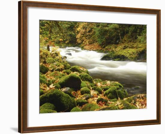 Sandy River in Autumn, Welches, Oregon, USA-Michel Hersen-Framed Photographic Print