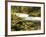 Sandy River in Autumn, Welches, Oregon, USA-Michel Hersen-Framed Photographic Print