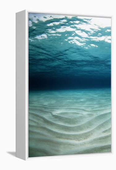 Sandy Sea Floor-Georgette Douwma-Framed Premier Image Canvas