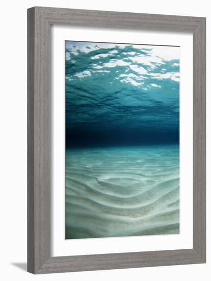 Sandy Sea Floor-Georgette Douwma-Framed Photographic Print