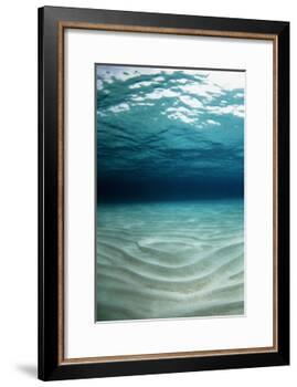 Sandy Sea Floor-Georgette Douwma-Framed Photographic Print