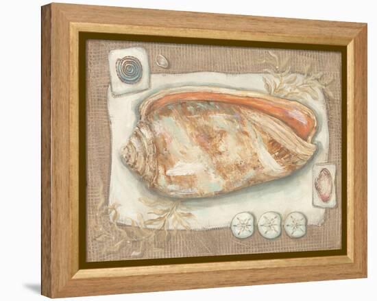 Sandy Shells I-Kate McRostie-Framed Stretched Canvas