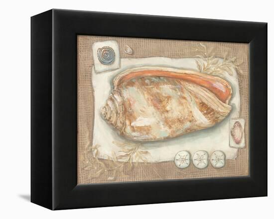 Sandy Shells I-Kate McRostie-Framed Stretched Canvas