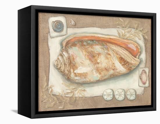 Sandy Shells I-Kate McRostie-Framed Stretched Canvas