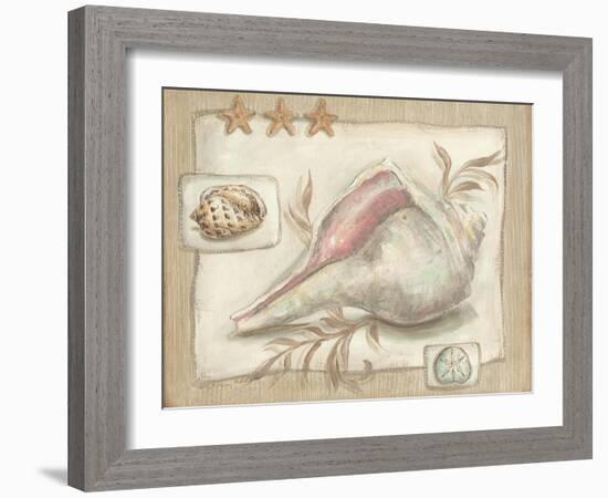 Sandy Shells II-Kate McRostie-Framed Art Print