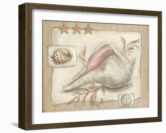 Sandy Shells II-Kate McRostie-Framed Art Print