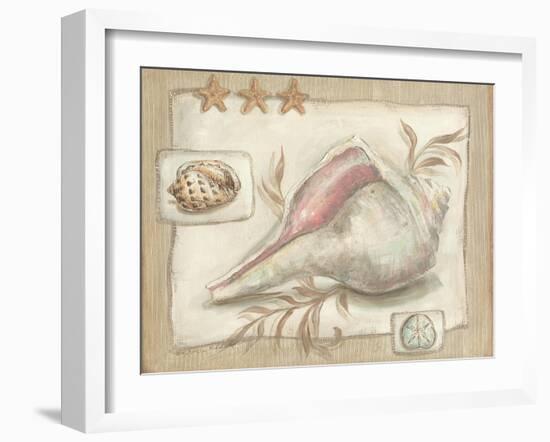 Sandy Shells II-Kate McRostie-Framed Art Print