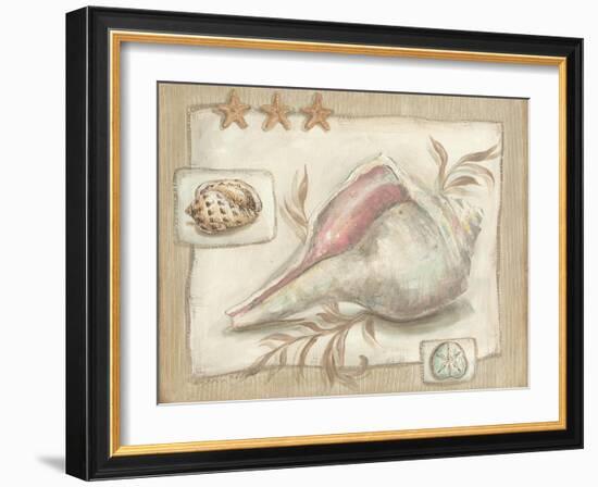 Sandy Shells II-Kate McRostie-Framed Art Print