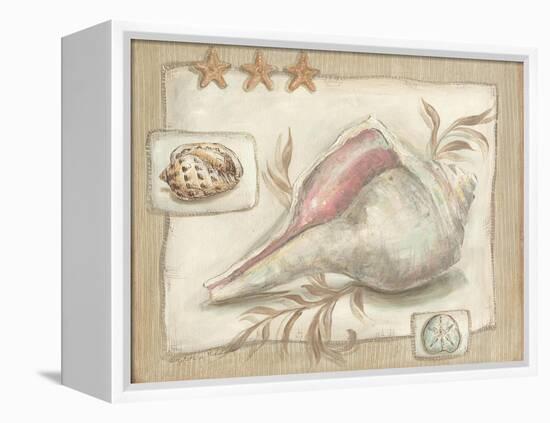 Sandy Shells II-Kate McRostie-Framed Stretched Canvas