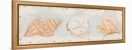 Sandy Shells II-Tiffany Hakimipour-Framed Stretched Canvas