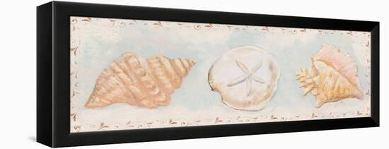 Sandy Shells II-Tiffany Hakimipour-Framed Stretched Canvas