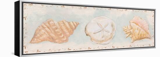 Sandy Shells II-Tiffany Hakimipour-Framed Stretched Canvas