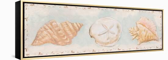 Sandy Shells II-Tiffany Hakimipour-Framed Stretched Canvas