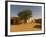 Sandy Square at UNESCO World Heritage Site of Chinguetti, Medieval Trading Centre, N. Mauritania-Michael Runkel-Framed Photographic Print