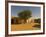 Sandy Square at UNESCO World Heritage Site of Chinguetti, Medieval Trading Centre, N. Mauritania-Michael Runkel-Framed Photographic Print