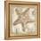 Sandy Starfish-Kate McRostie-Framed Stretched Canvas