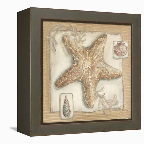 Sandy Starfish-Kate McRostie-Framed Stretched Canvas