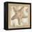 Sandy Starfish-Kate McRostie-Framed Stretched Canvas