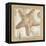 Sandy Starfish-Kate McRostie-Framed Stretched Canvas