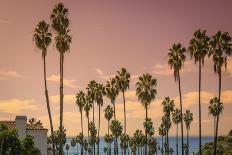 Sunset and Palm Trees on the Beach against the Soft Pink Tropical Sky-Sanghwan Kim-Photographic Print