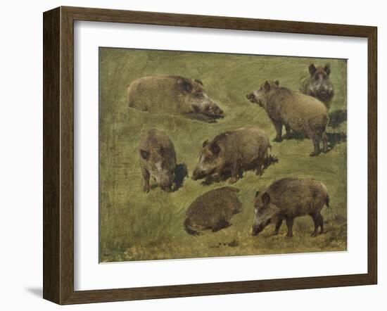 Sangliers couchés et debout, 7 esquisses-Rosa Bonheur-Framed Giclee Print