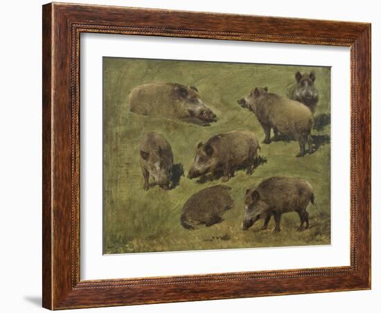 Sangliers couchés et debout, 7 esquisses-Rosa Bonheur-Framed Giclee Print