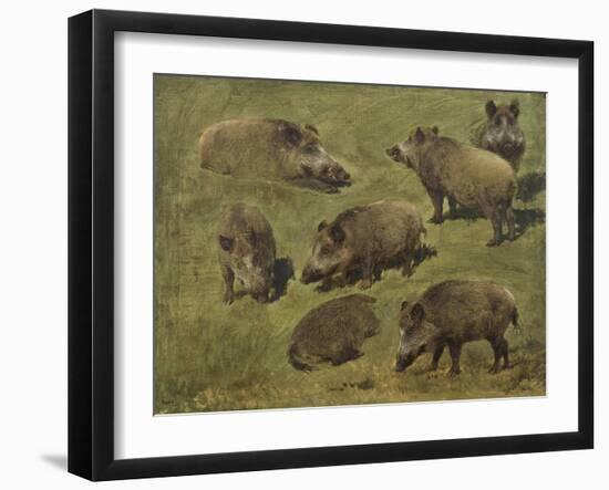 Sangliers couchés et debout, 7 esquisses-Rosa Bonheur-Framed Giclee Print