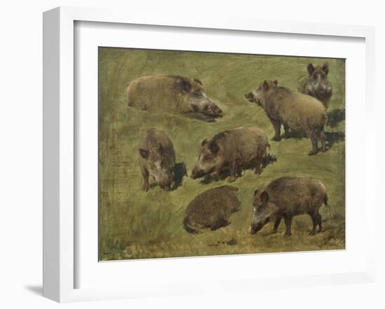 Sangliers couchés et debout, 7 esquisses-Rosa Bonheur-Framed Giclee Print