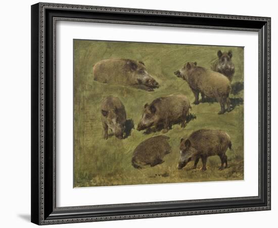 Sangliers couchés et debout, 7 esquisses-Rosa Bonheur-Framed Giclee Print