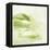 Sanguine-Corrie LaVelle-Framed Stretched Canvas