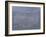 Sansui Raked Garden, Kyoto, Japan-Peter Adams-Framed Photographic Print