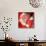 Santa 3 Stockings-Chris Consani-Art Print displayed on a wall