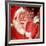 Santa 3 Stockings-Chris Consani-Framed Art Print