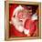 Santa 3 Stockings-Chris Consani-Framed Stretched Canvas