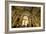 Santa Ana Cathedral, Vegueta Old Town, Las Palmas de Canary Islands, Spain-Neil Farrin-Framed Photographic Print