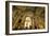 Santa Ana Cathedral, Vegueta Old Town, Las Palmas de Canary Islands, Spain-Neil Farrin-Framed Photographic Print