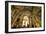 Santa Ana Cathedral, Vegueta Old Town, Las Palmas de Canary Islands, Spain-Neil Farrin-Framed Photographic Print