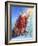 Santa and Unicorn-Judy Mastrangelo-Framed Giclee Print